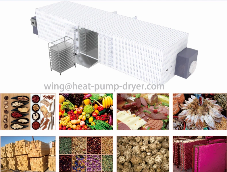 Commercial Fruit and Vegetable Dryer/ Actinidia Berry Dehydrator on Sale