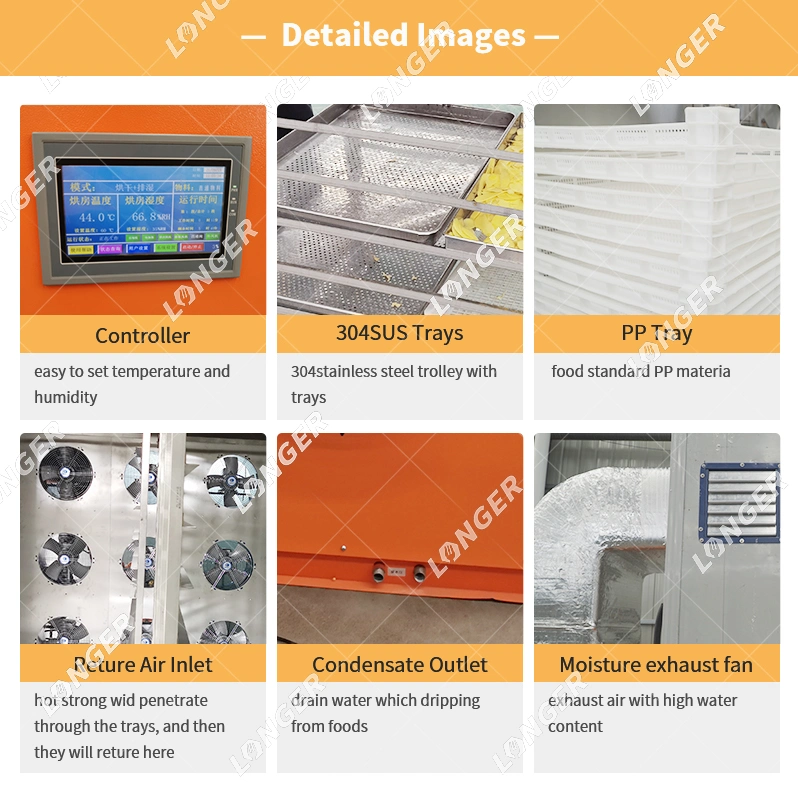 Industrial Fruit Drying Dehydrator Machine Fruit Dehydrator