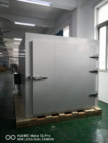 Obsttrocknungsmaschine, Dehydrierungsmaschine, industrieller Lebensmittel-Dörrautomat